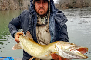 Musky Fishing in Deep Rivers