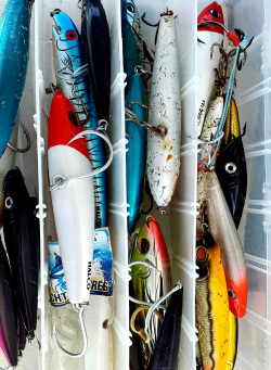 Lures for Fishing