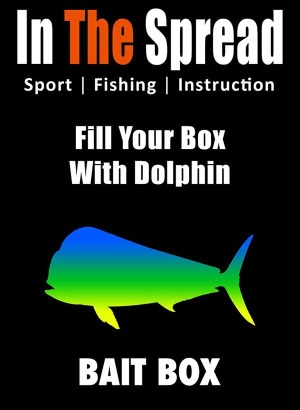 bait box for dolphin fishing video cover