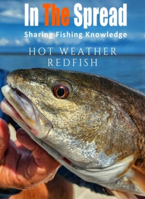 william toney holds a redfish caught in hot weather on Florida's Gulf Coast