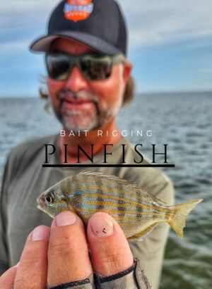 one of the most versatile baitfish is the pinfish, held here by William Toney