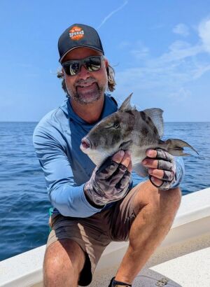 triggerfish caught reef fishing on Florida Gulf Coast