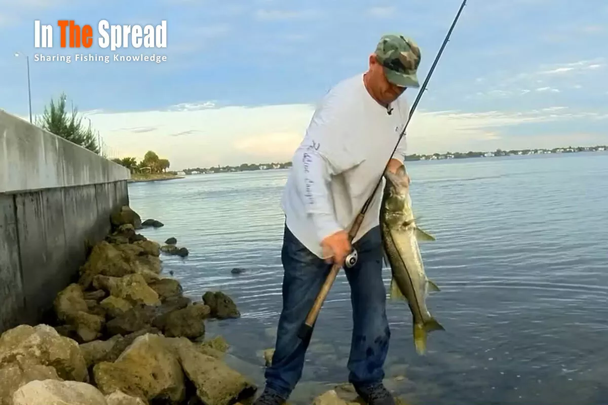 Slob Rob teaching fishing course on Jig Fishing Snook Under Bridges