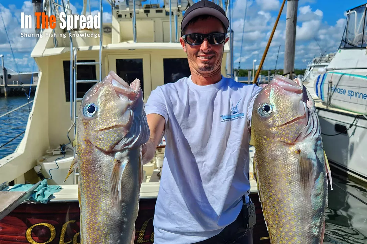Tilefish caught Bottom Fishing with Chad Raney