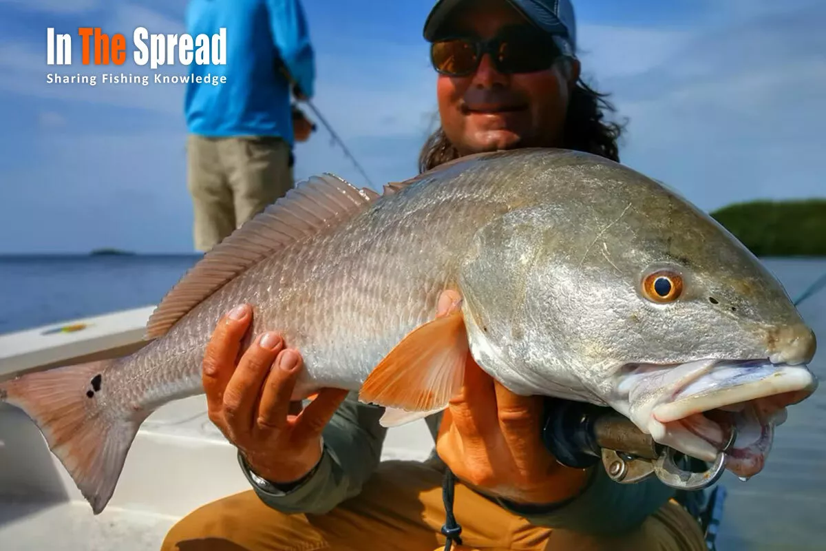 Fishing course being taught on how to achieve Redfish Sea Trout Snook Slam