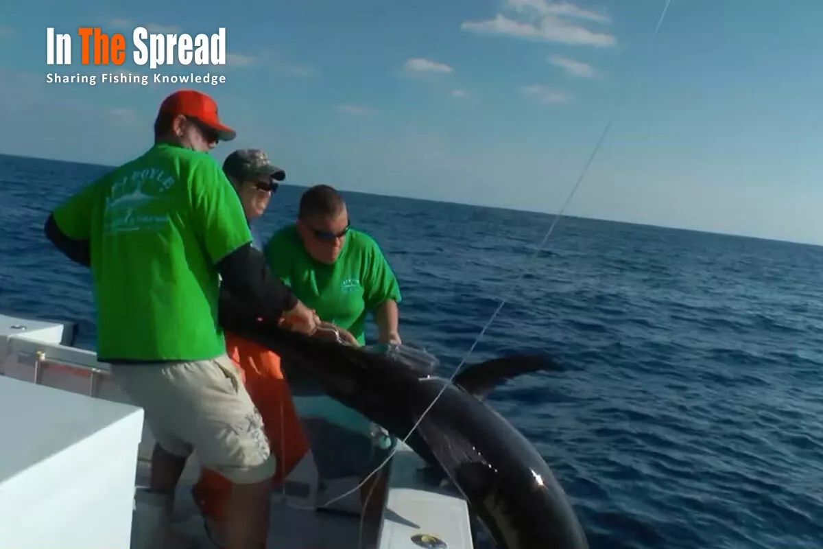 Big Swordfish Fishing Tactics course being taught