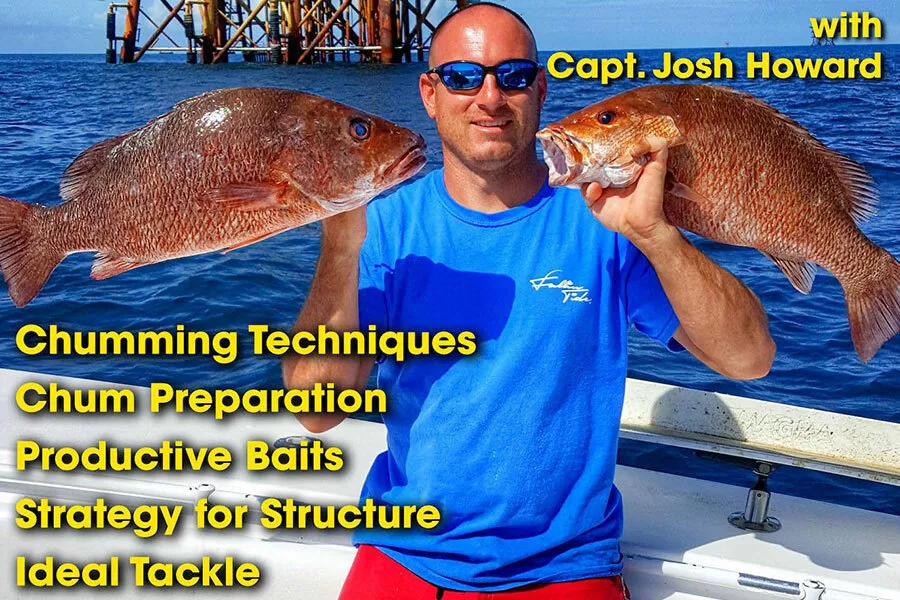 Mangrove Snapper fishing techniques taught by In The Spread