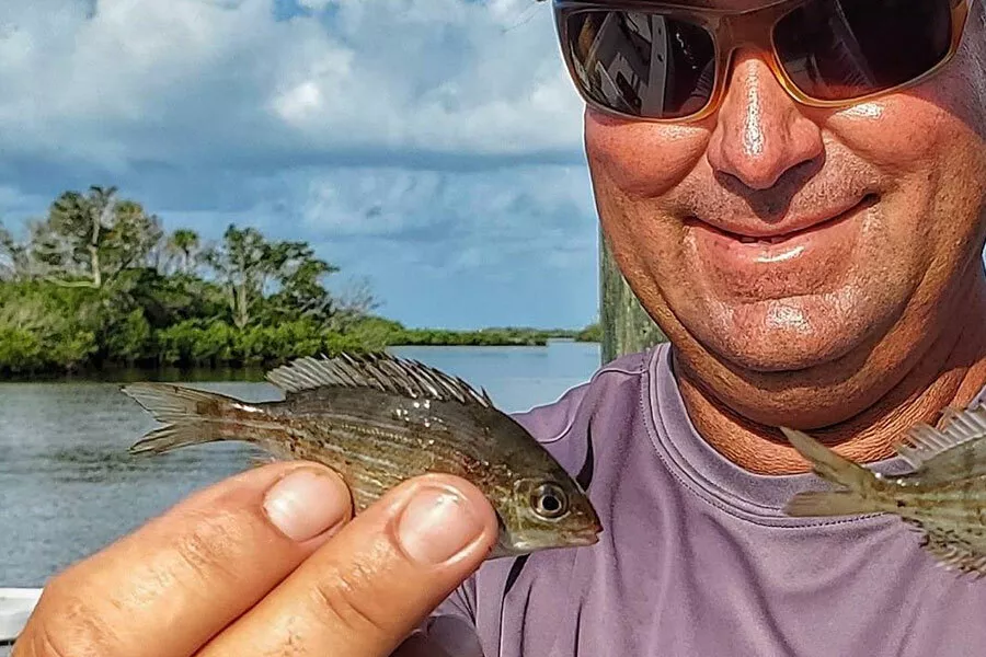 Pinfish are the Best Fishing Baits for the Florida Gulf Coast
