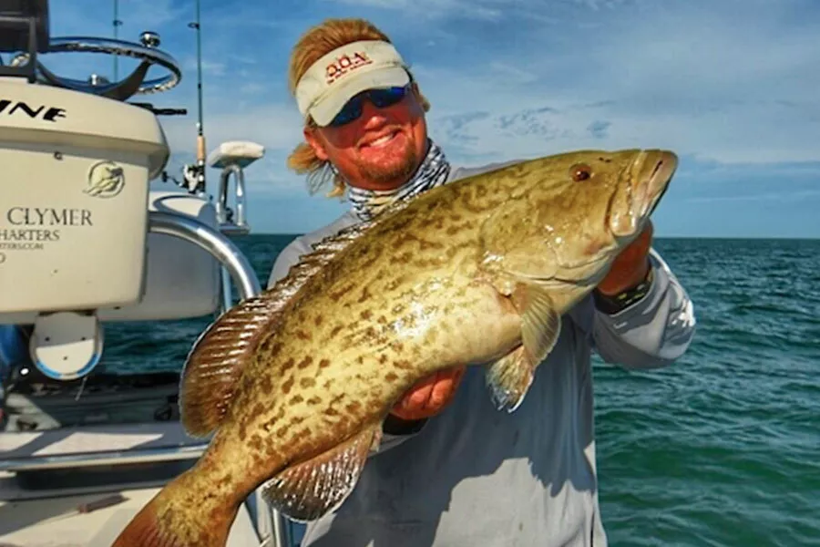 Shallow Water Grouper