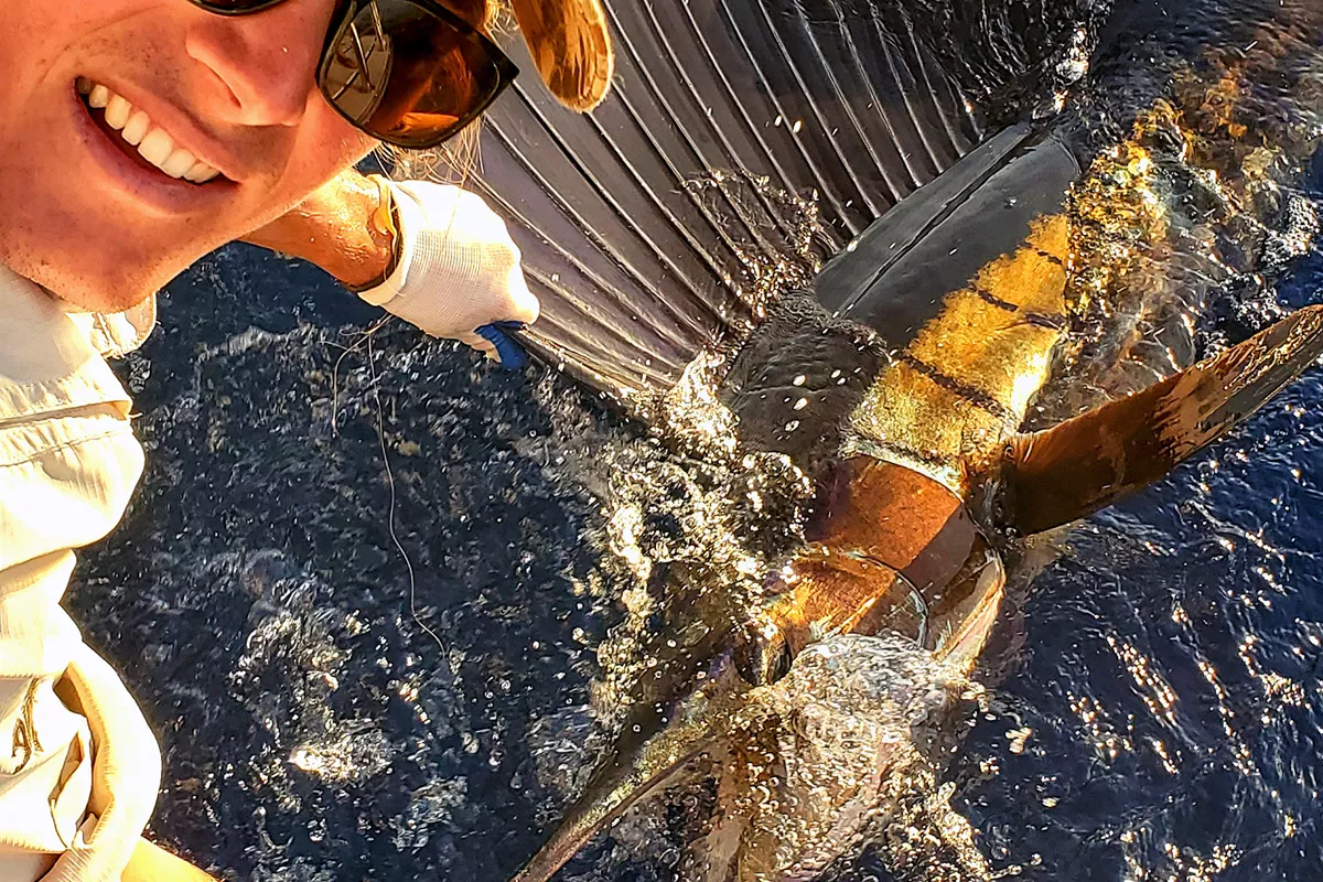 Switch Baiting Sailfish Fishing Course from the Indian Ocean