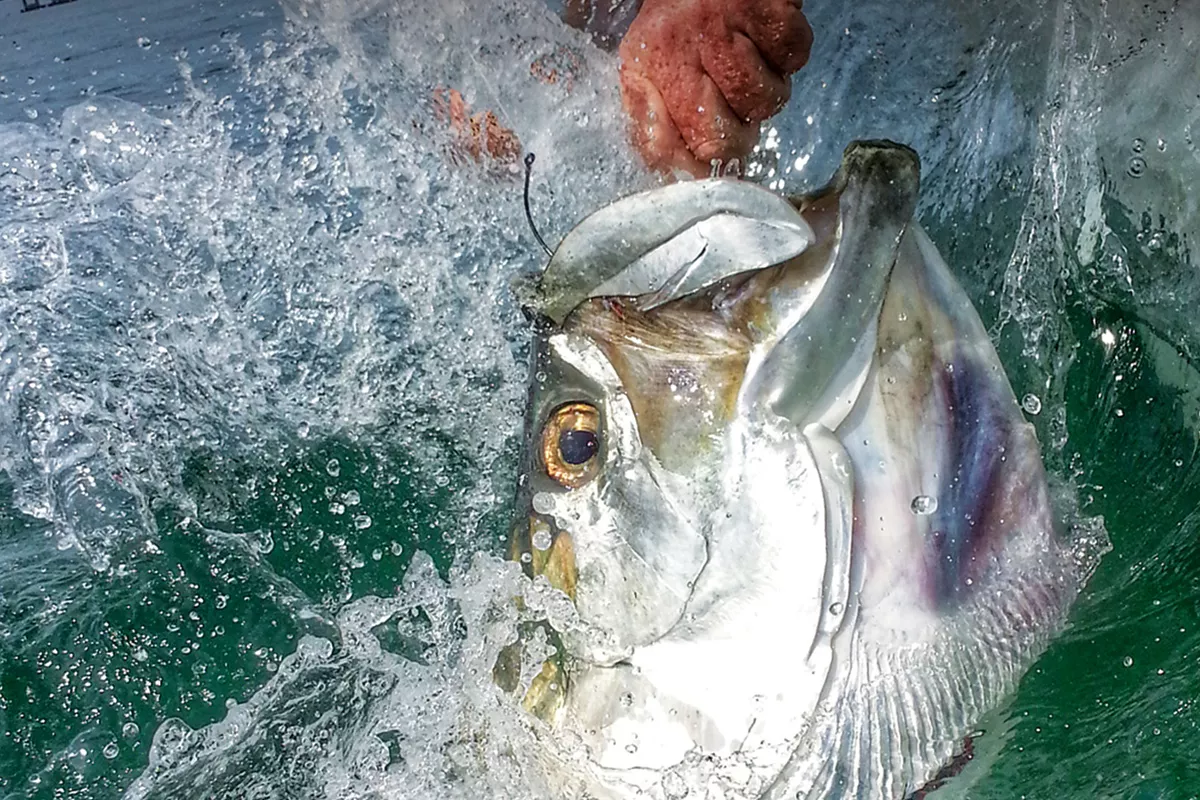 Florida Tarpon Fishing