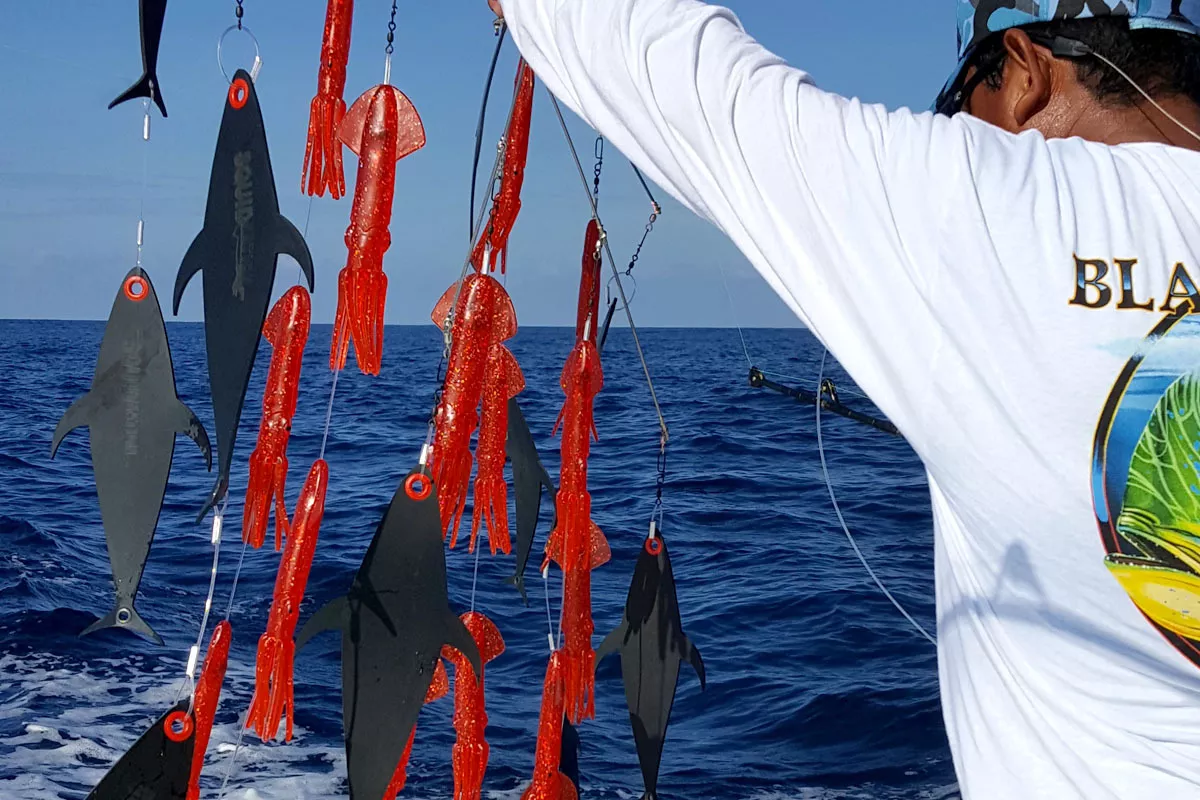 Dredge Fishing for Billfish