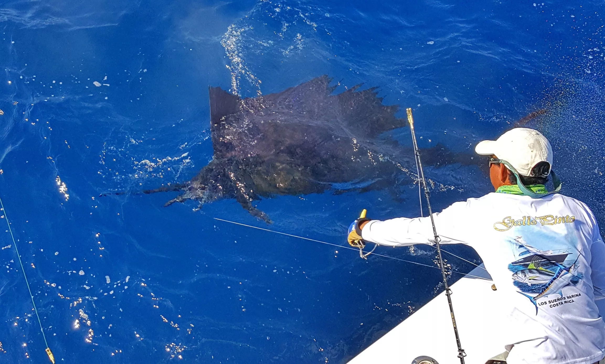 Dredge Fishing for Sailfish lesson taught by In The Spread