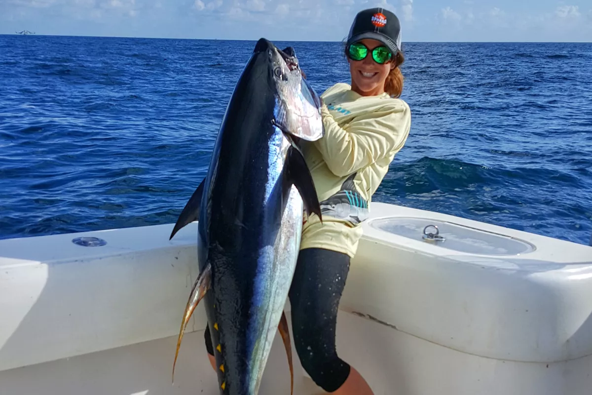 Yellowfin Tuna caught Chunking Drifting and Live Baiting