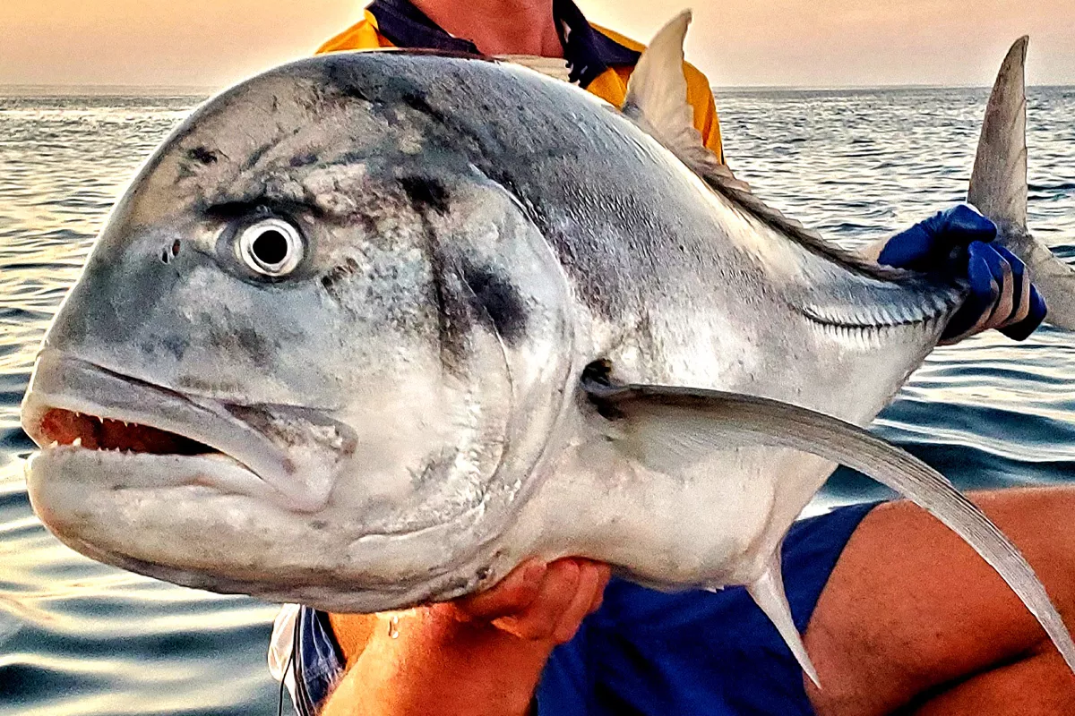 Giant Trevally Fishing Rowley Shoals