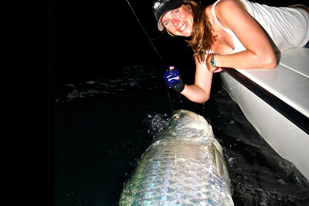 Florida Tarpon Fish at Night