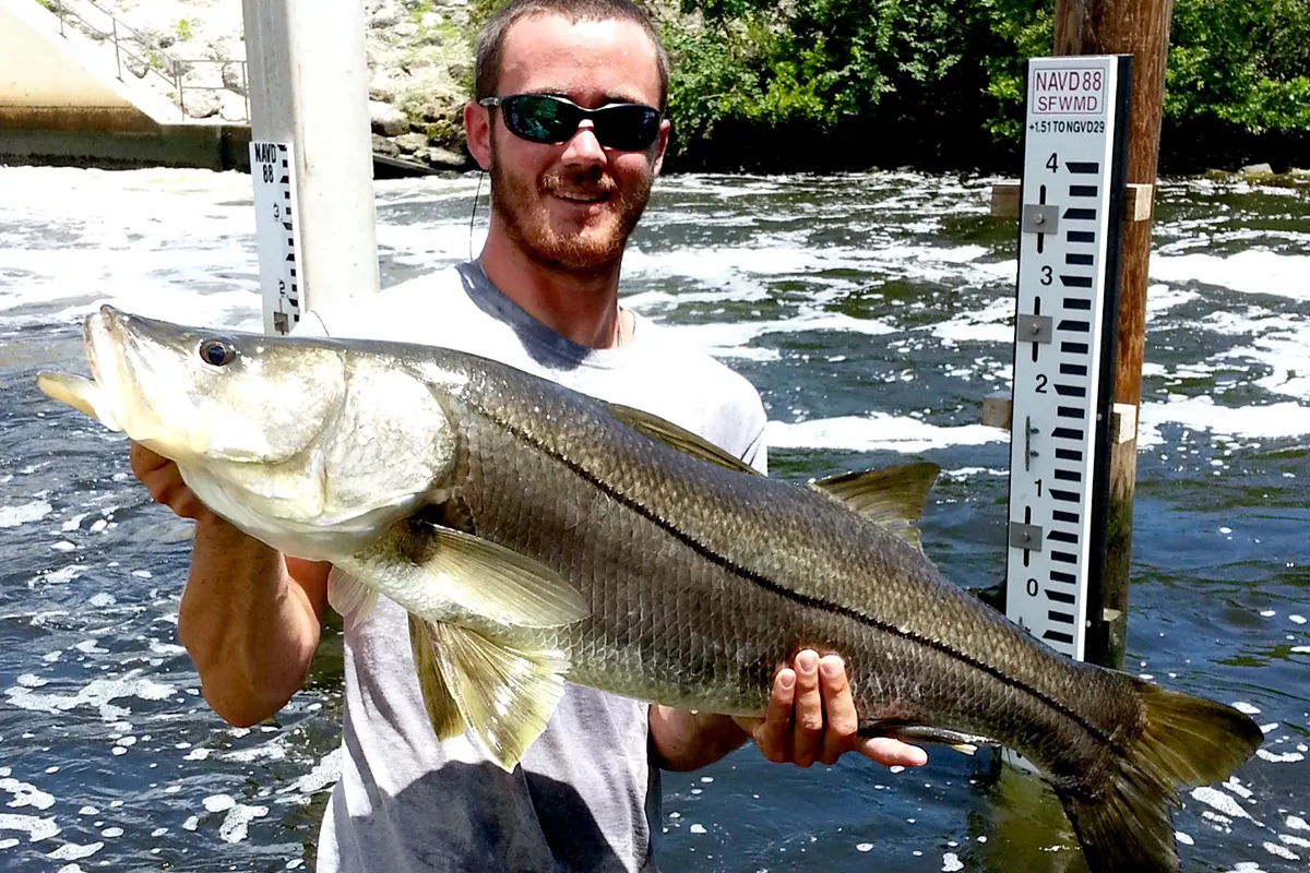 Snook Fishing Florida Spillways being taught