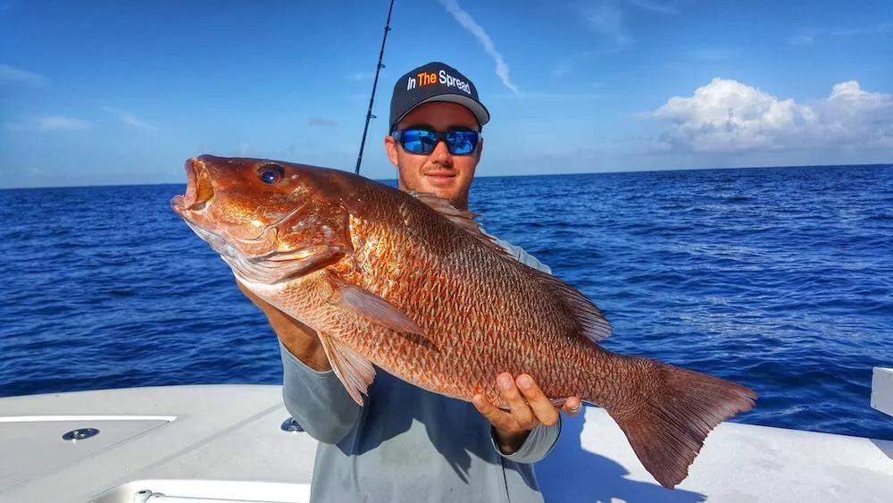 The Basics of Chumming for Mangrove Snapper