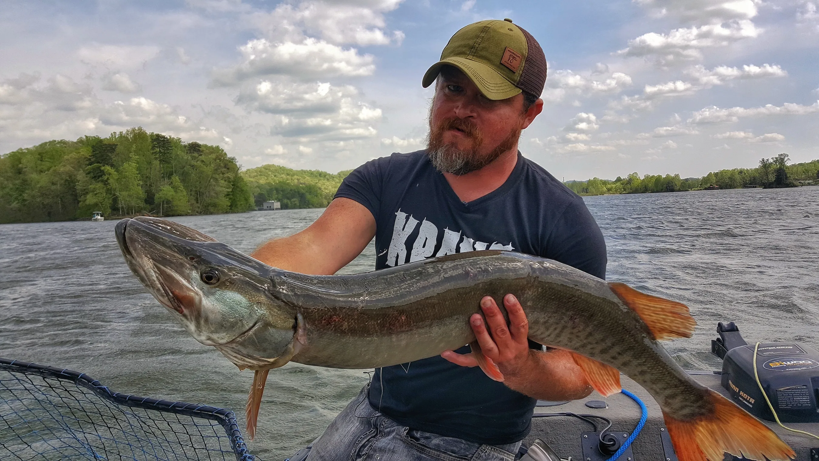 Tennessee musky caught trolling by Cory Allen