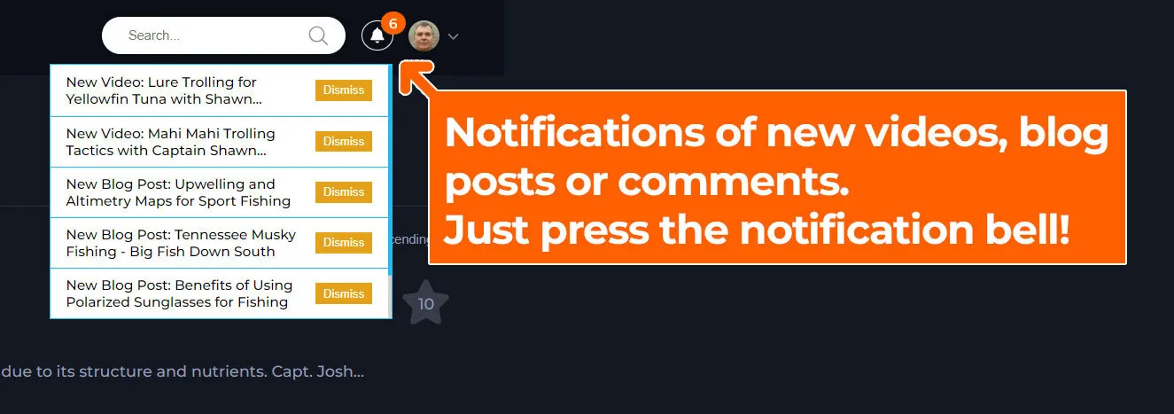 Notifications of new videos, blog posts or comments
