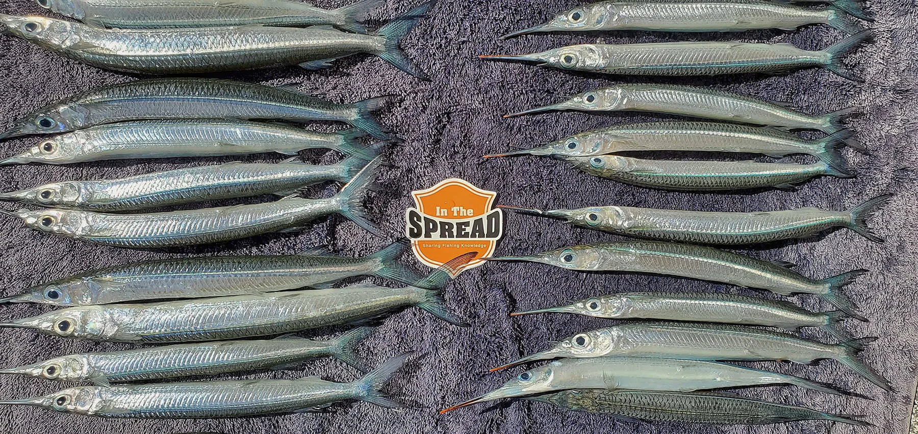 Rigging Ballyhoo - Trolling Baits