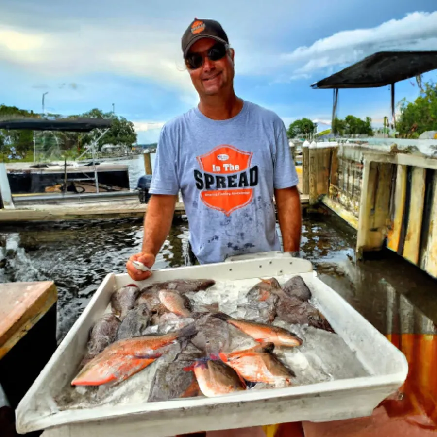 How to Catch Mangrove Snapper - Know the Species