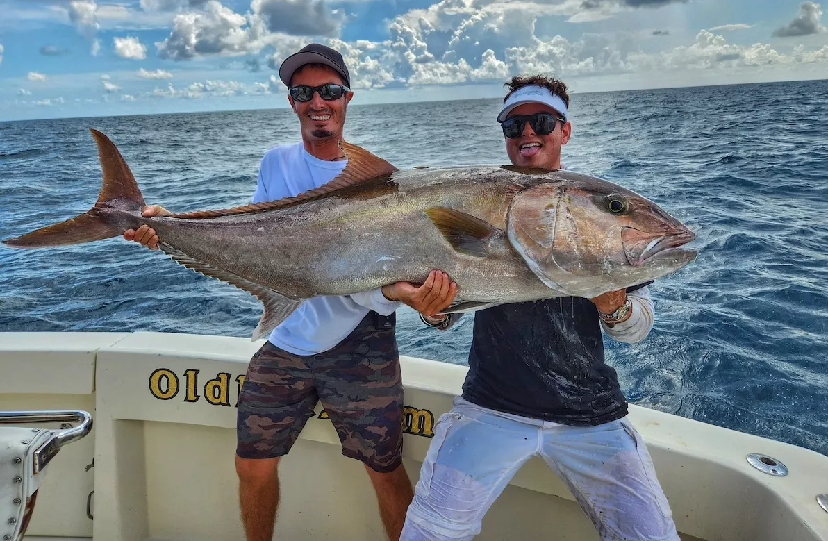 big amberjack or reef donkey caught jigging off South Florida