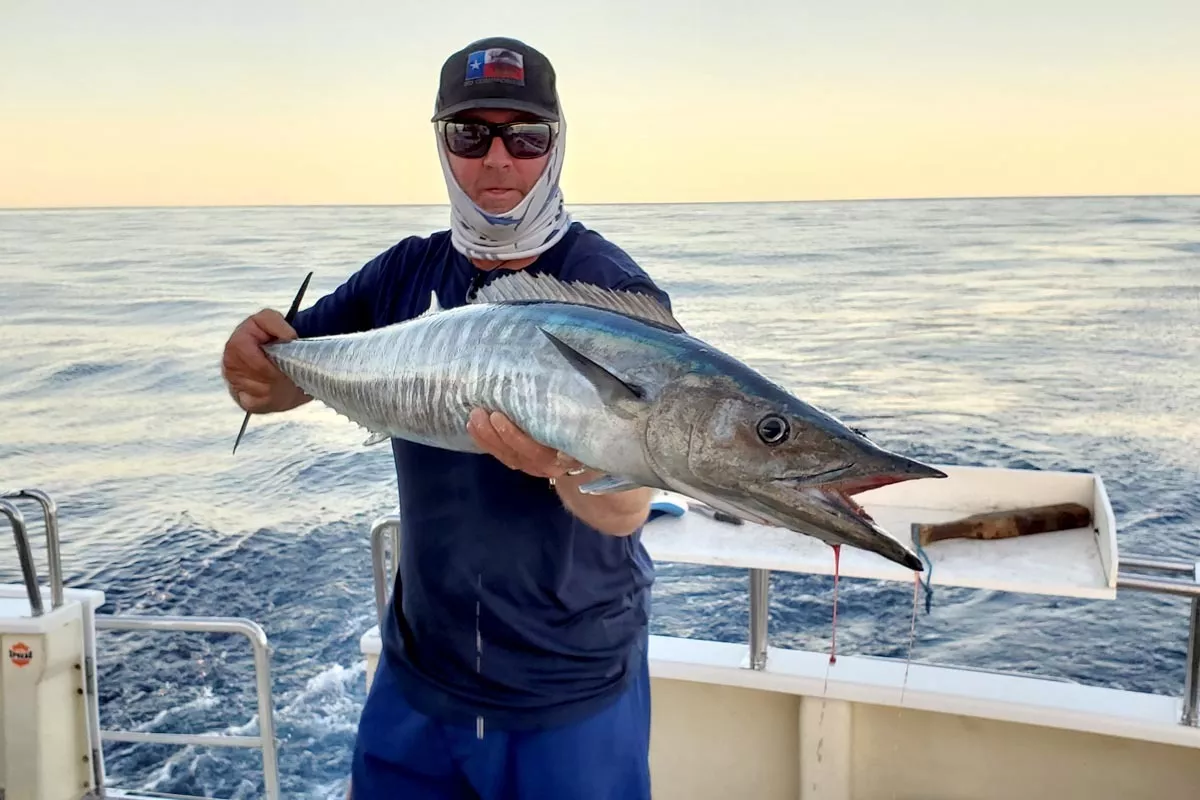 wahoo caught deep sea fishing off the west coast of Australia