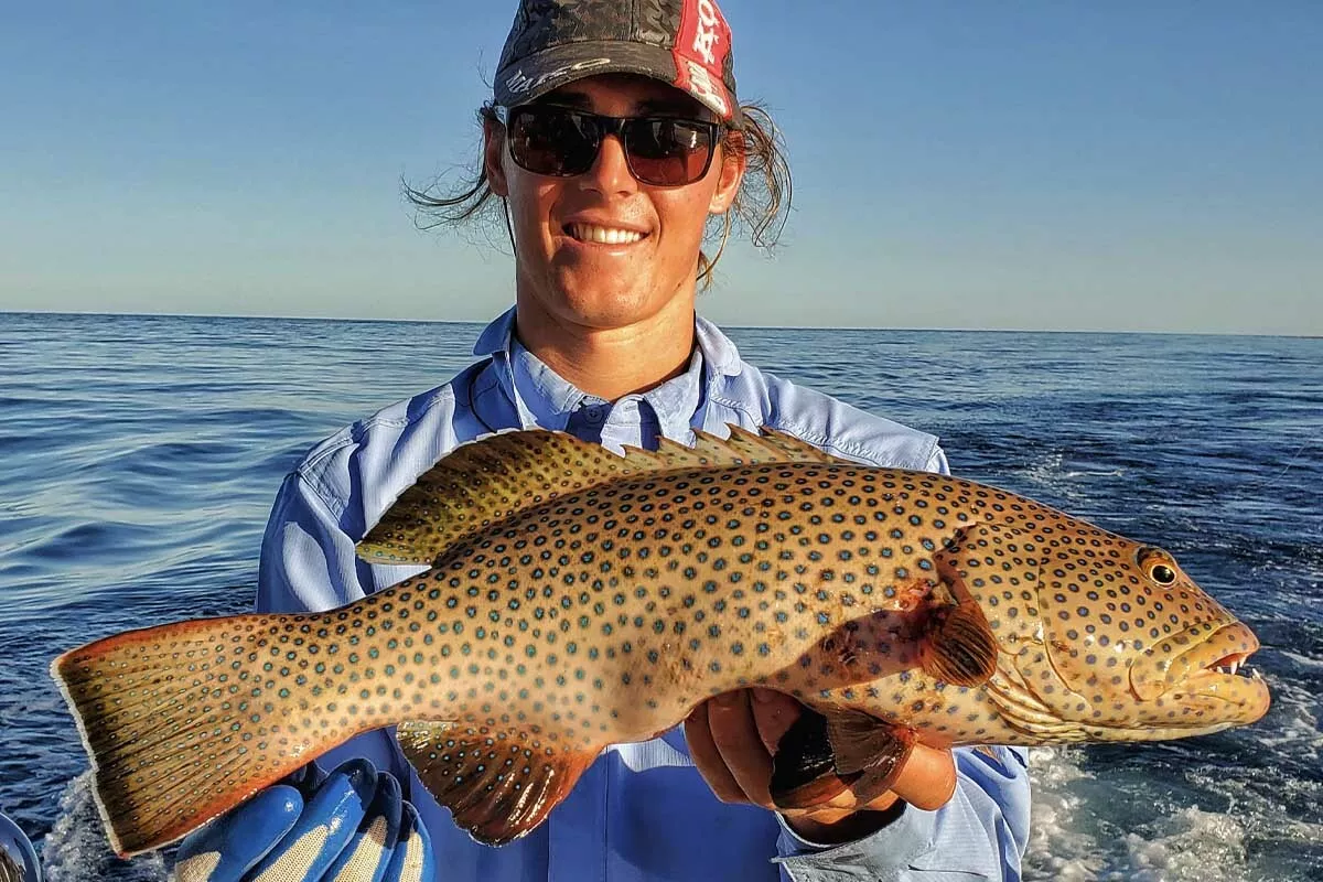 beautiful coral trout caught with a popper at Rowly Shoals