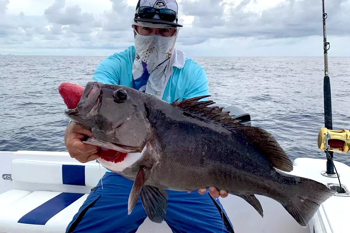 the reward of wreck fishing for grouper in south florida