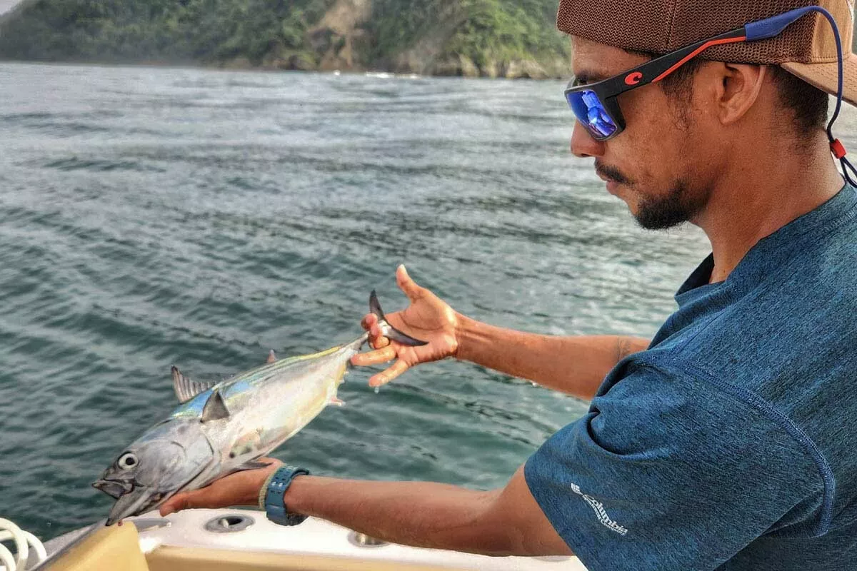 luis salazar holds a bonito used for giant roosterfish bait