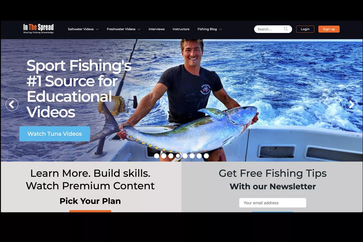 image from In The Spread homepage