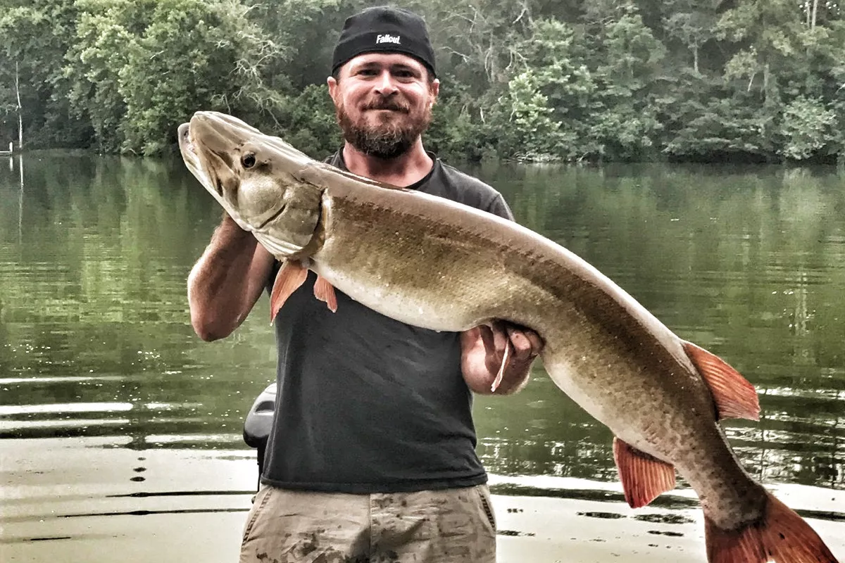 muskie fishing guide Cory Allen holds up a nice 50 inch fish