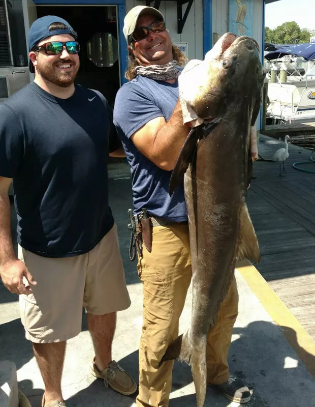 William Toney with a 71 lb cobia caught in Homosassa