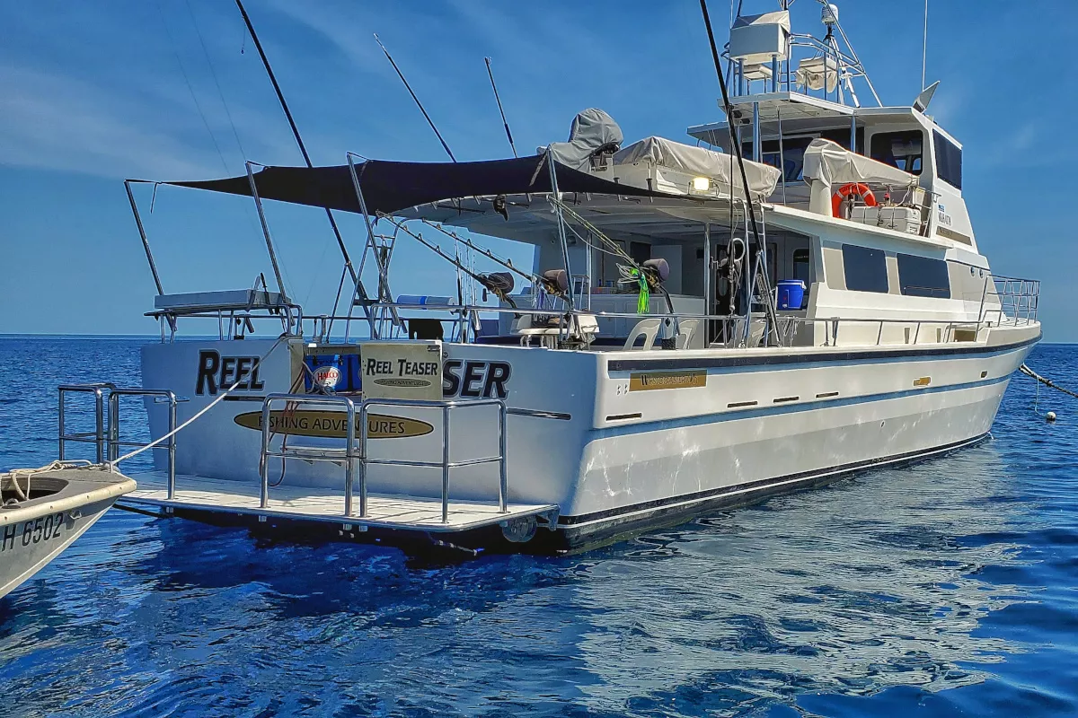 reel teaser mothership at rowley shoals