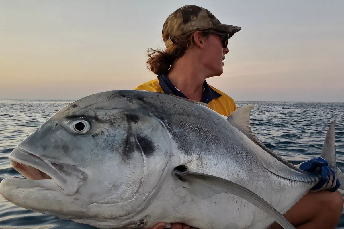 giant trevally fish