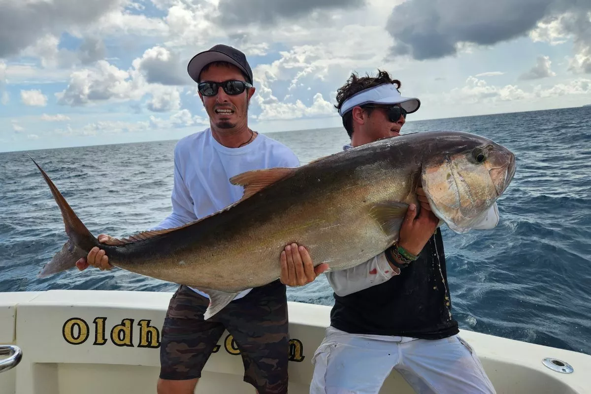 huge amberjack caught wreck jigging in miami