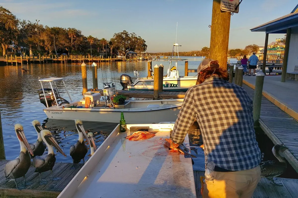boat dock at McRae's on the Homosassa River