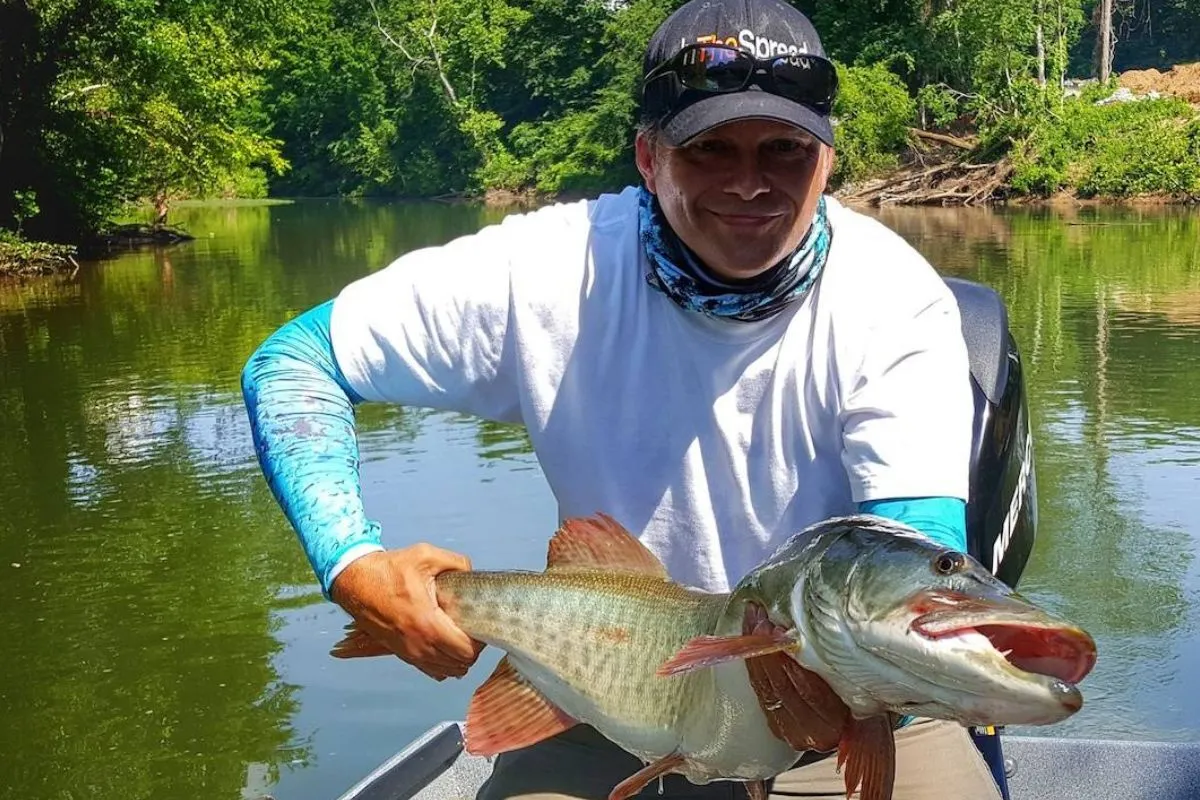 collins river muskie caught by seth horne
