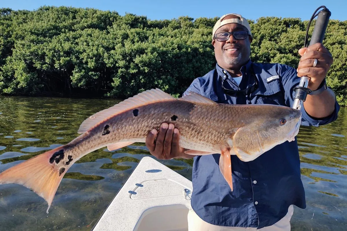 Florida winter redfish with freckles