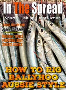 freshly caught ballyhoo