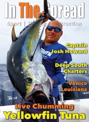 Live Chumming Yellowfin Tuna