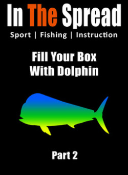 Dolphin Fishing - Tools and Accessories