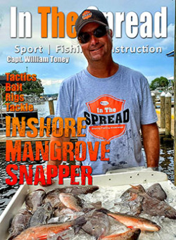 Inshore Mangrove Snapper