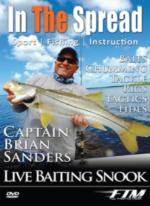 Snook caught using live bait in Chokoloskee Florida