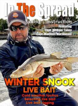 Live Bait Winter Snook