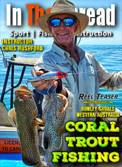 Reef Fishing Coral Trout