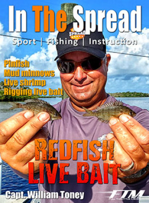 Redfish Live Bait
