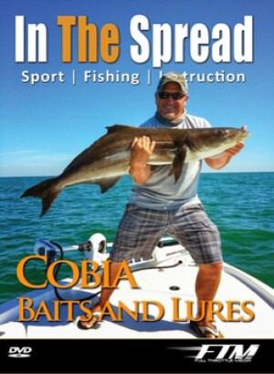 Cobia caught fishing Chokoloskee Florida