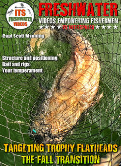 Targeting Trophy Flathead Catfish